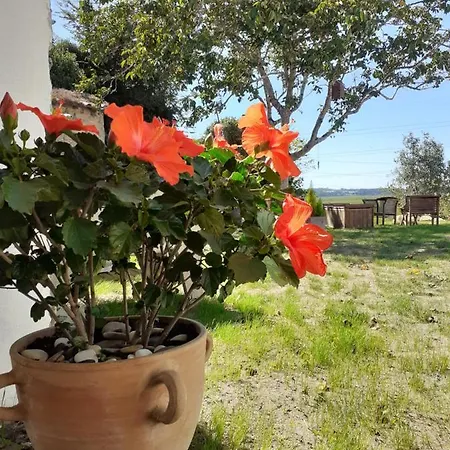 Apartamento ***** Quinta Do Pôr Do Sol ***** Figueira da Foz